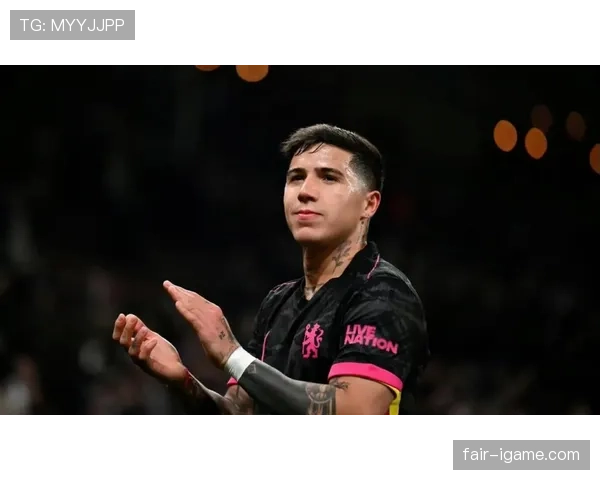 恩佐转会费是否溢价：数据与市场价值对比分析